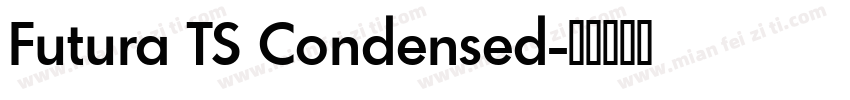 Futura TS Condensed字体转换